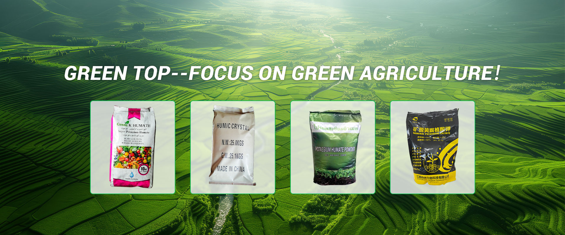 Green Top – Focus sur l